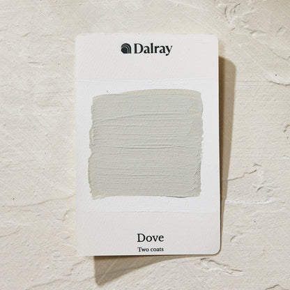 A Dalray paint swatch card labeled 'Dove Two coats' showing a light warm green gray painted texture, placed on a textured off-white surface.