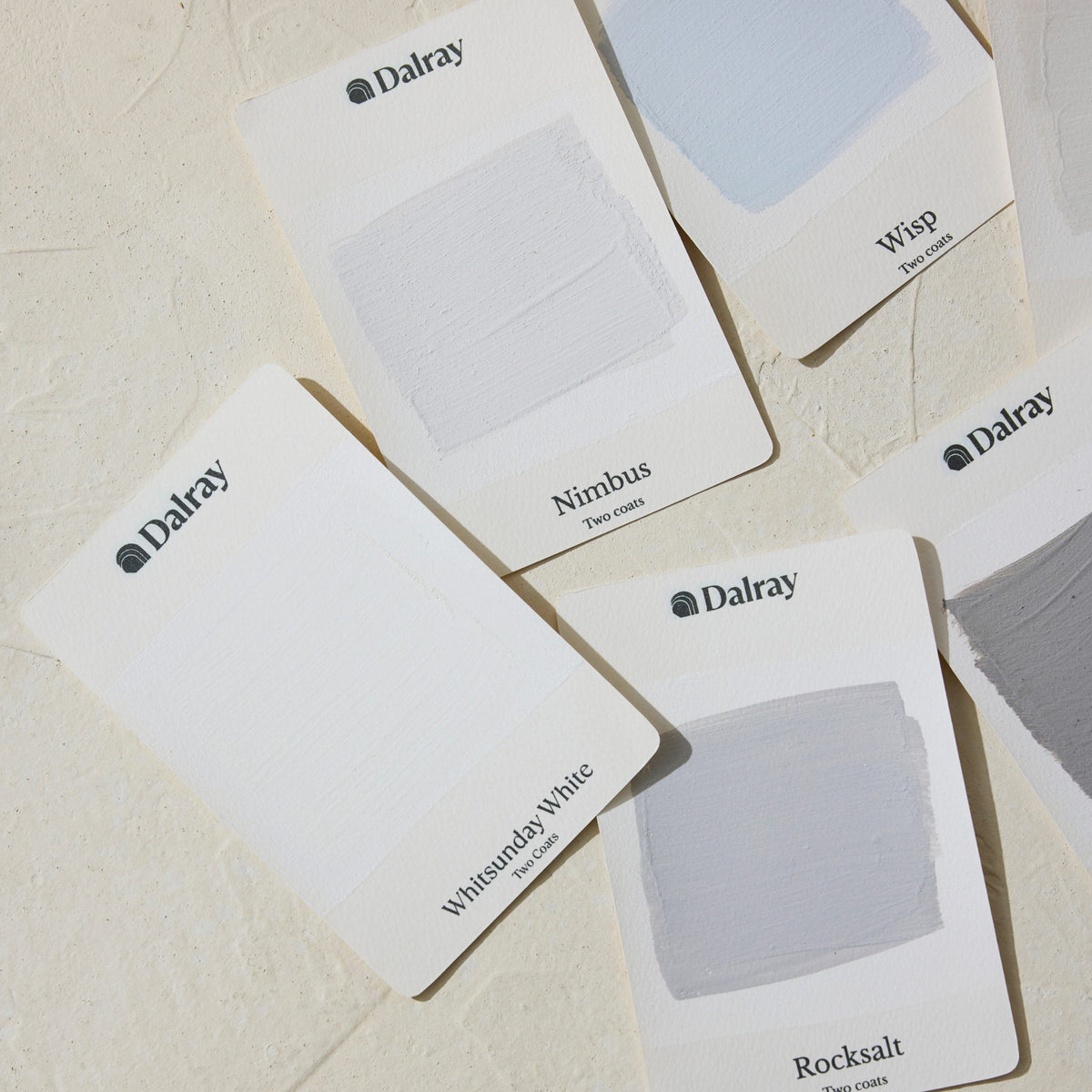 Several cool toned Dalray limewash paint color cards are arranged on a light textured surface. Visible cards include Whitsunday White, Nimbus, Wisp, and Rocksalt, each showing a painted color sample.