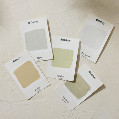Six Dalray A6 australian limewash paint swatch cards arranged on a textured off-white surface, showing muted green neutral shades labeled Dove, Linden, Pickle, Ferntree, Silvergrass.