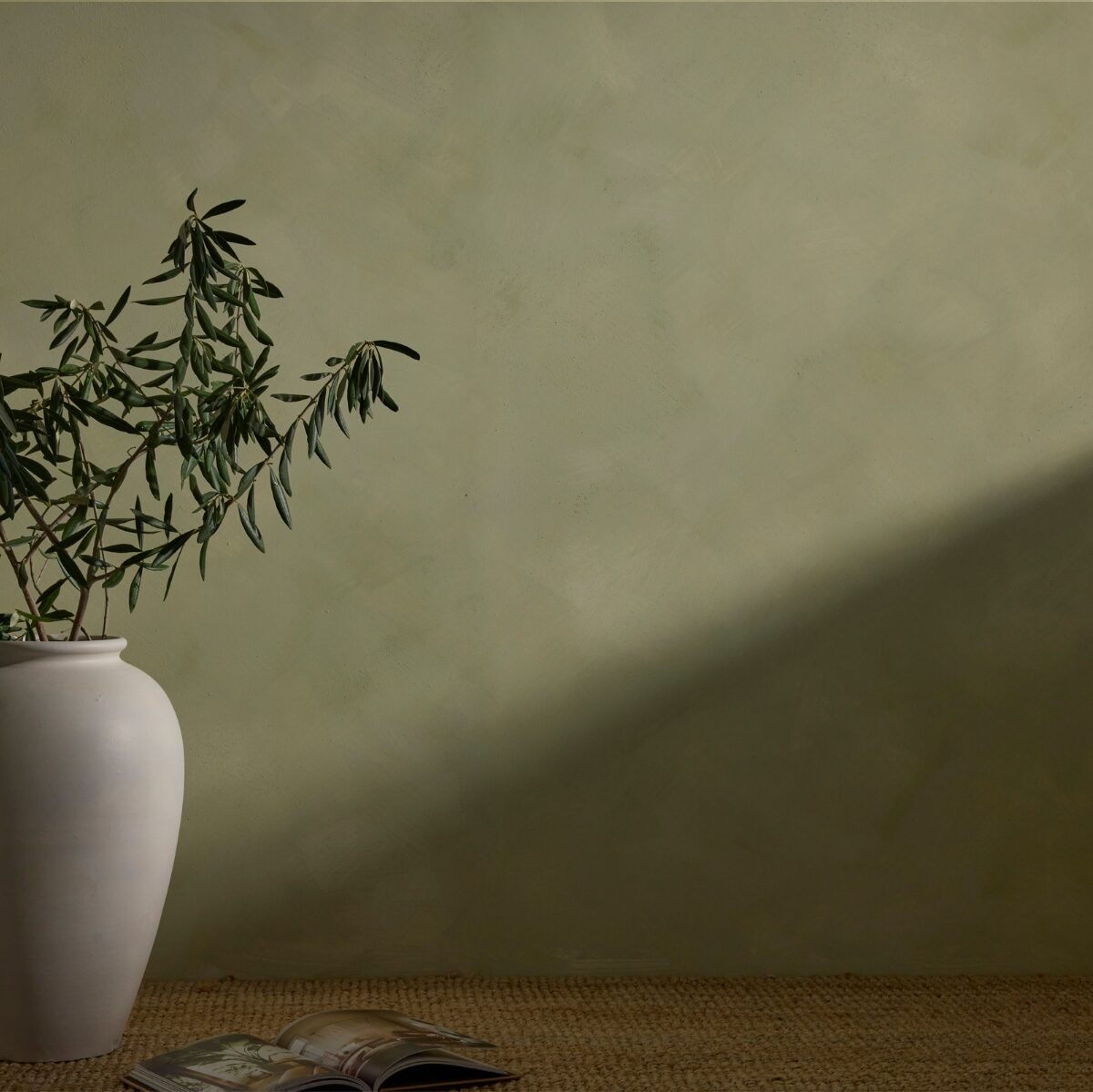 A textured sage green Dalray limewash wall in colour Linden with a diagonal shadow, featuring a white ceramic vase with a green leafy plant on a woven jute rug, and an open magazine on the floor.
