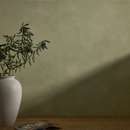 A textured sage green Dalray limewash wall in colour Linden with a diagonal shadow, featuring a white ceramic vase with a green leafy plant on a woven jute rug, and an open magazine on the floor.